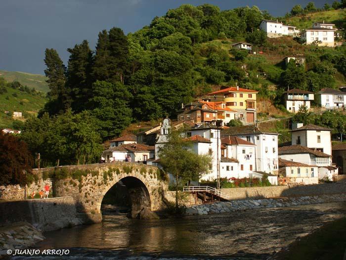 Hostal Los Nogales Cangas De Narcea Buitenkant foto